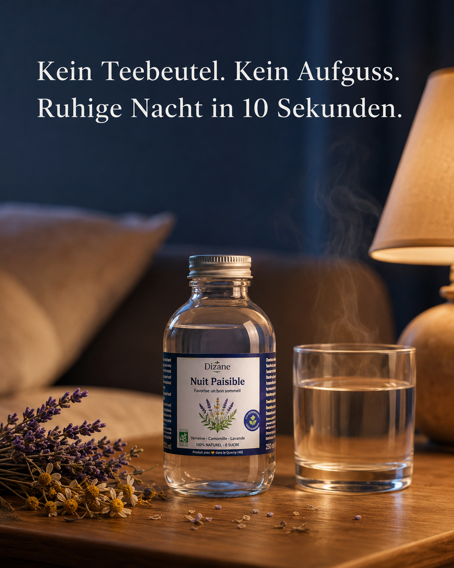 Dizane Nuit Paisible