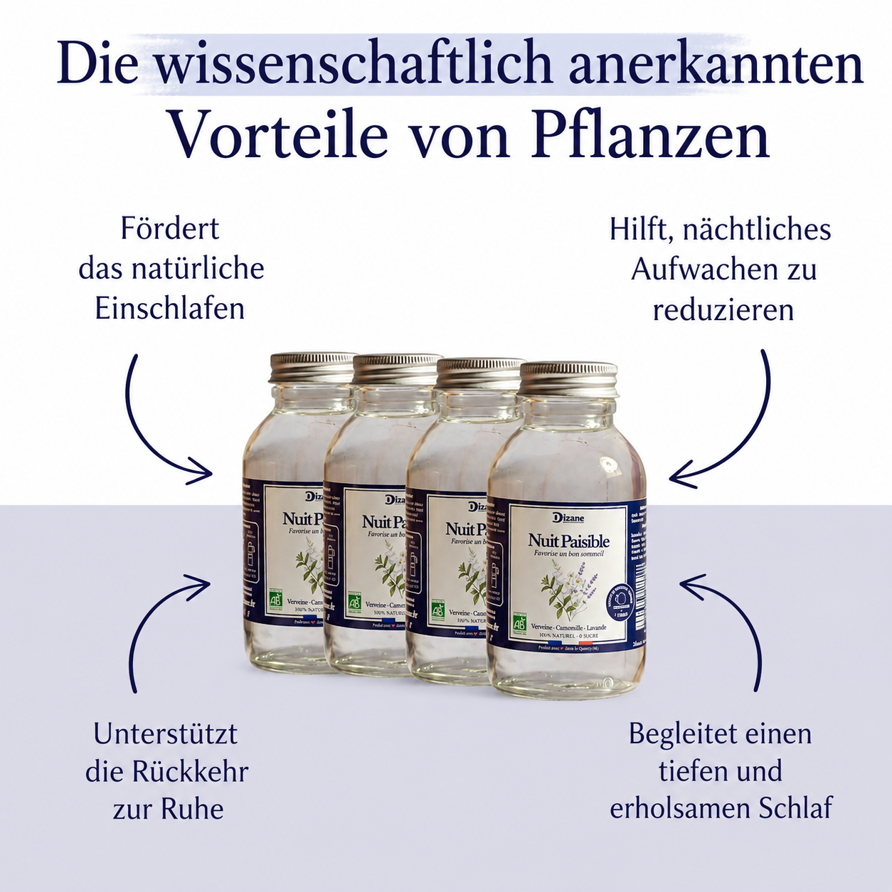 Dizane Ruhige Nacht