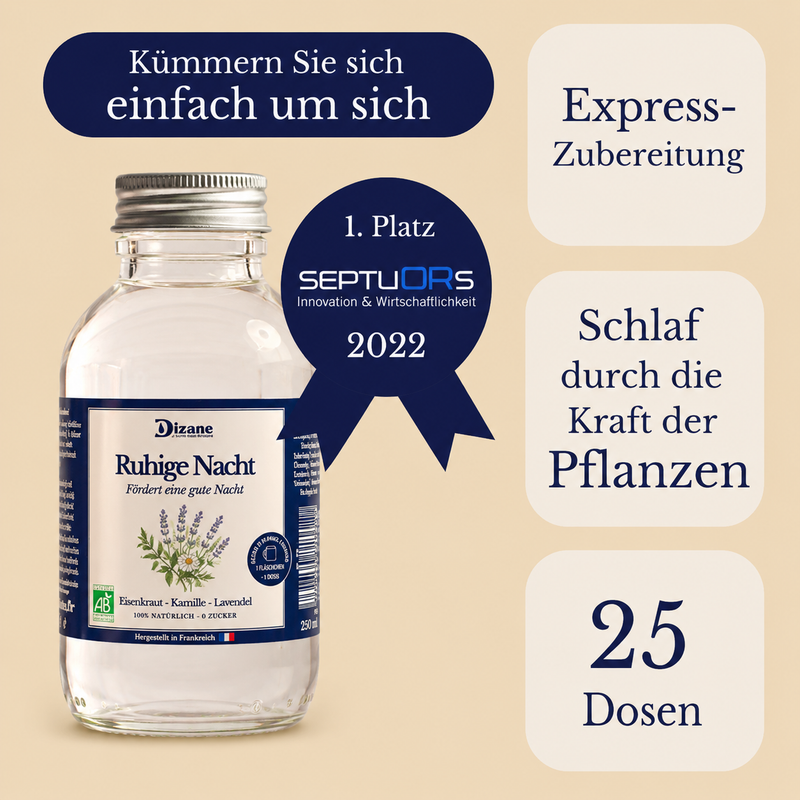 Dizane Ruhige Nacht